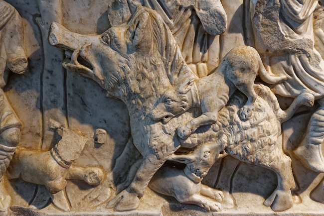 Musée de l'Arles antique-047